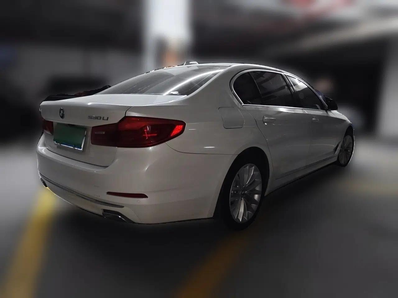BMW 5 Series 2019 530Li Leading Model Luxury Package — миниатюра 6