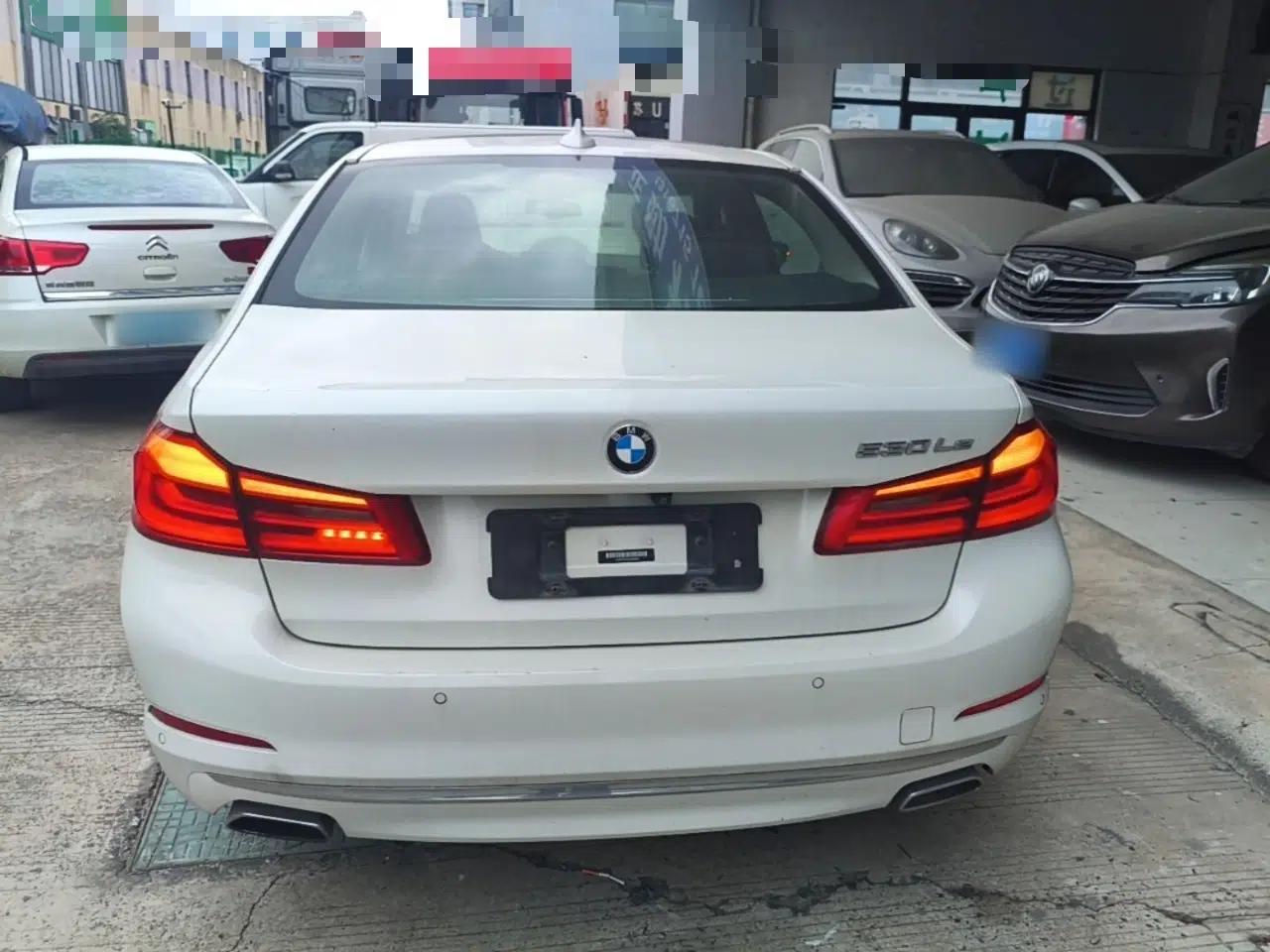 BMW 5 Series New Energy 2020 530Le Luxury Package — миниатюра 5