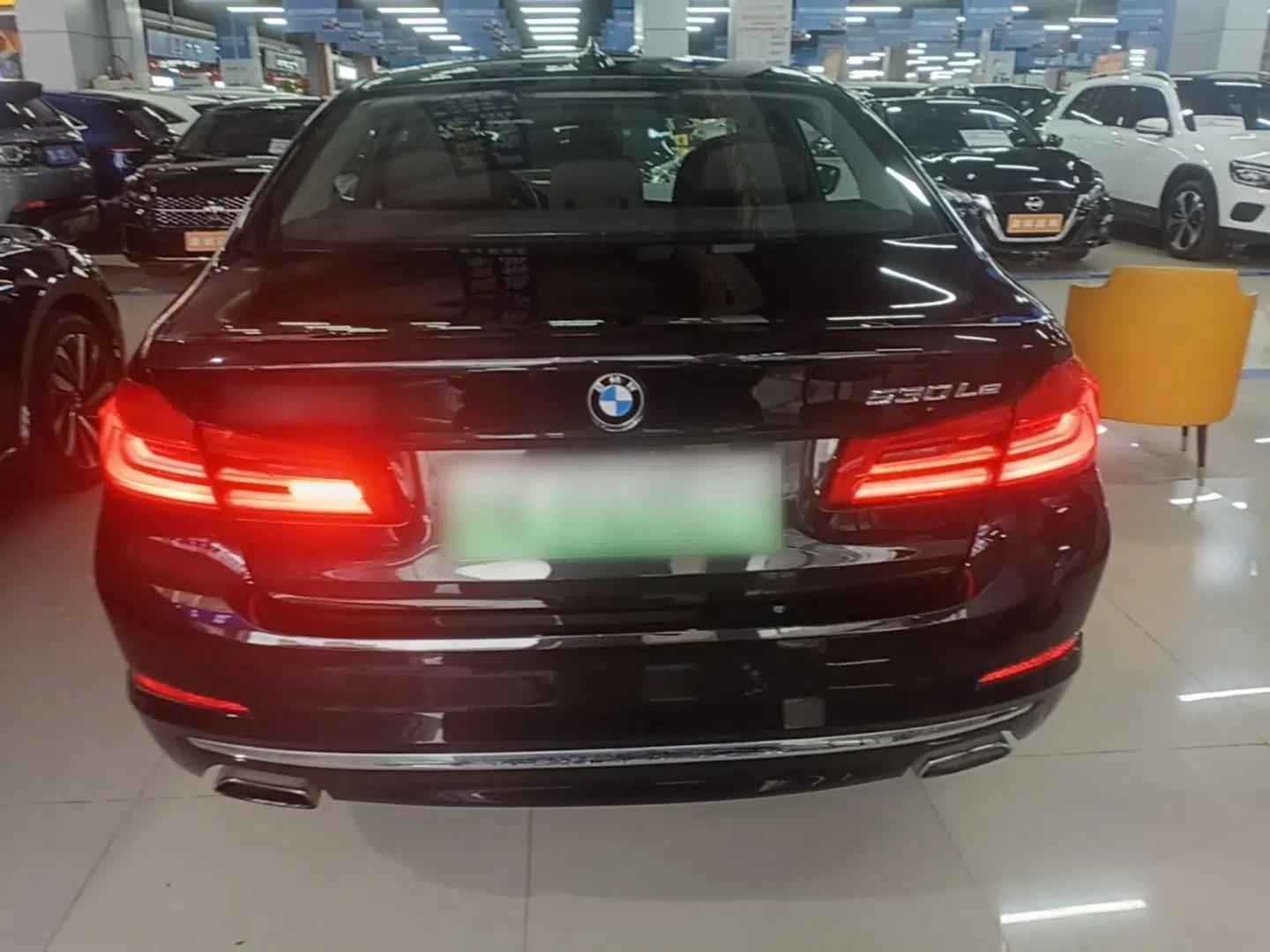 BMW 5 Series New Energy 2019 530Le Pioneer Edition — миниатюра 5