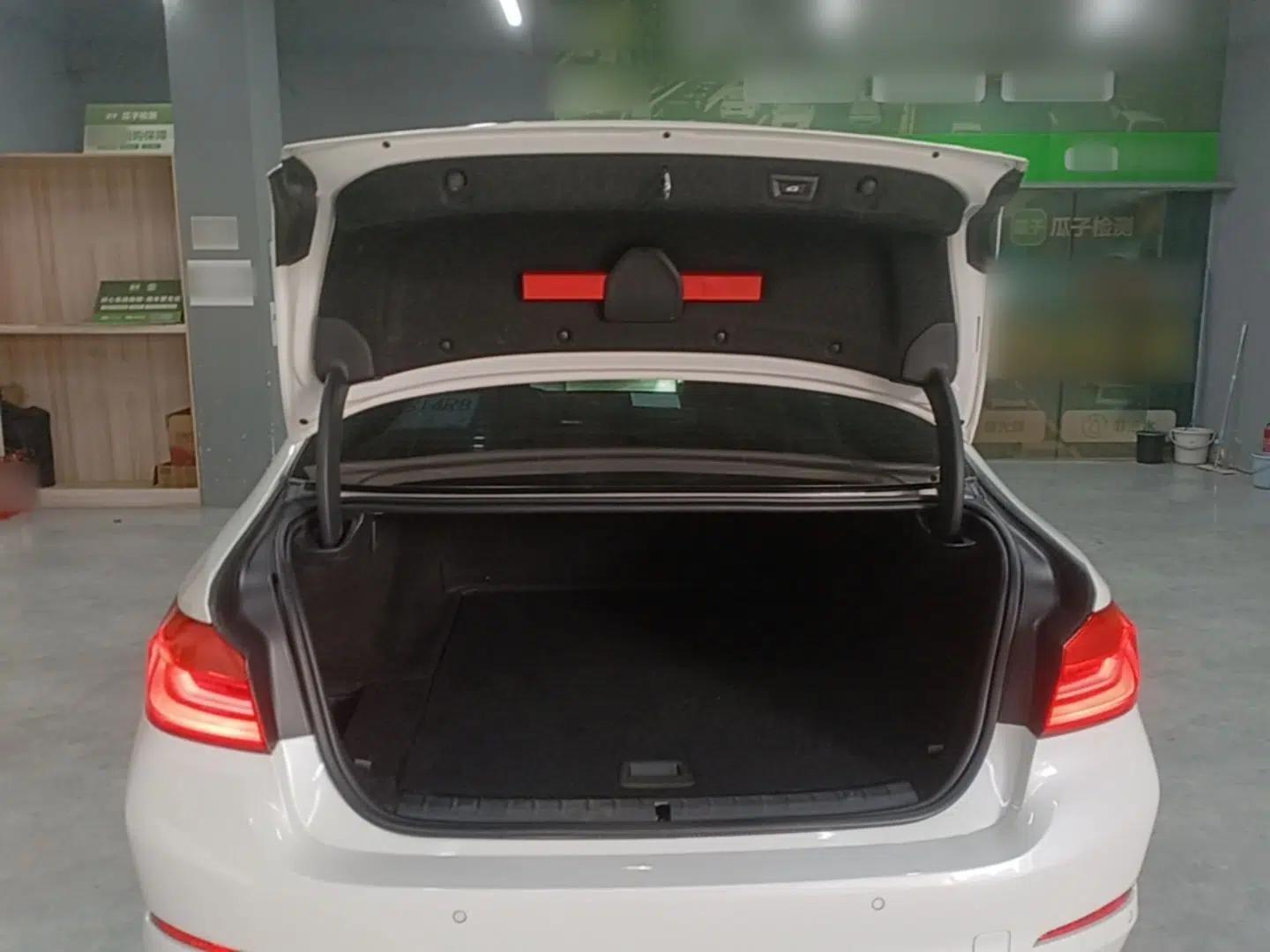 BMW 5 Series New Energy 2019 Updated 530Le Pioneer Edition — миниатюра 22