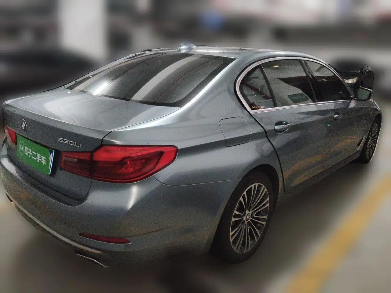 BMW 5 Series 2018 Facelifted 530Li Luxury Edition Premium Package — миниатюра 6
