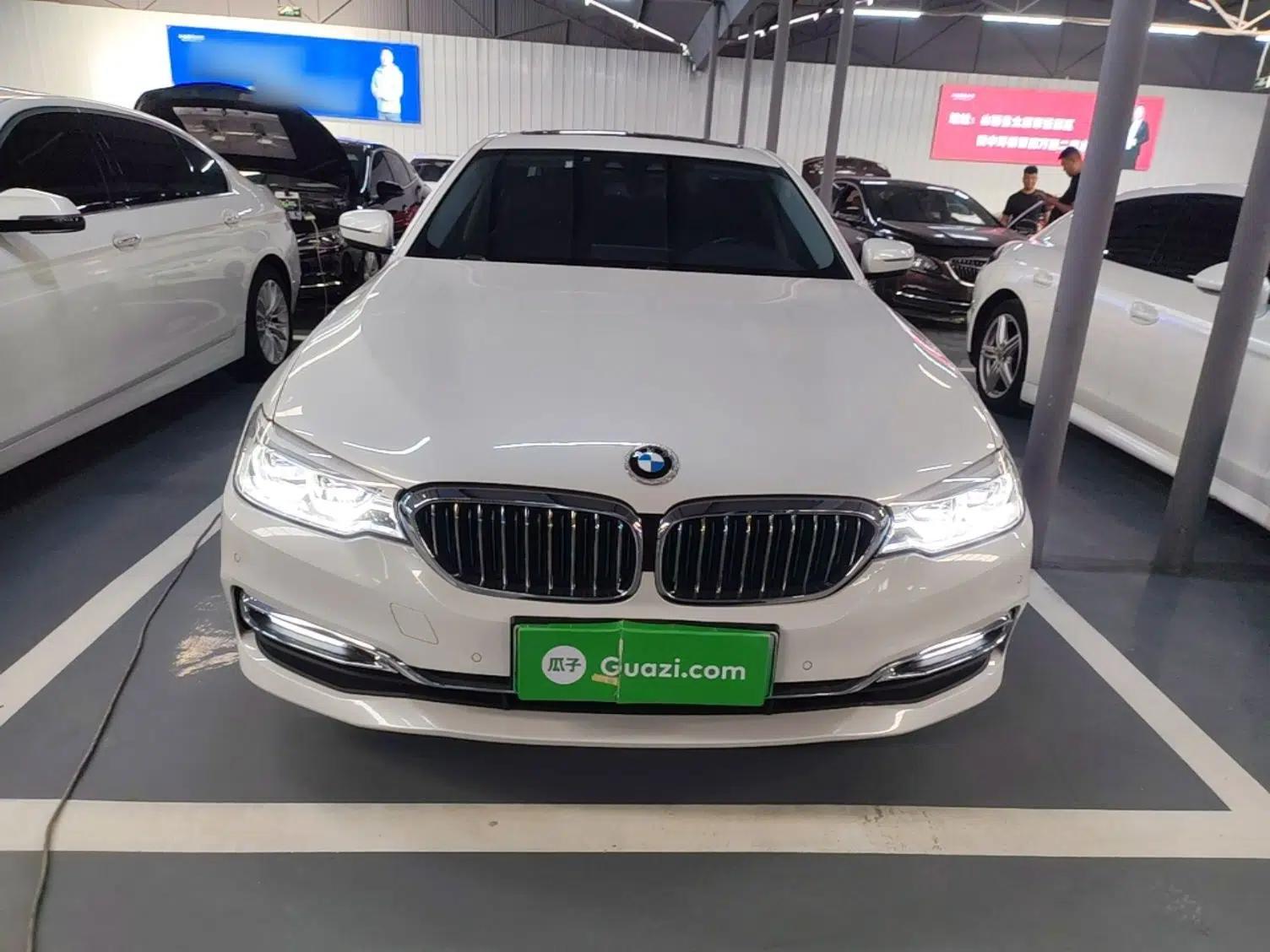 BMW 5 Series New Energy 2019 530Le Luxury Package — миниатюра 2