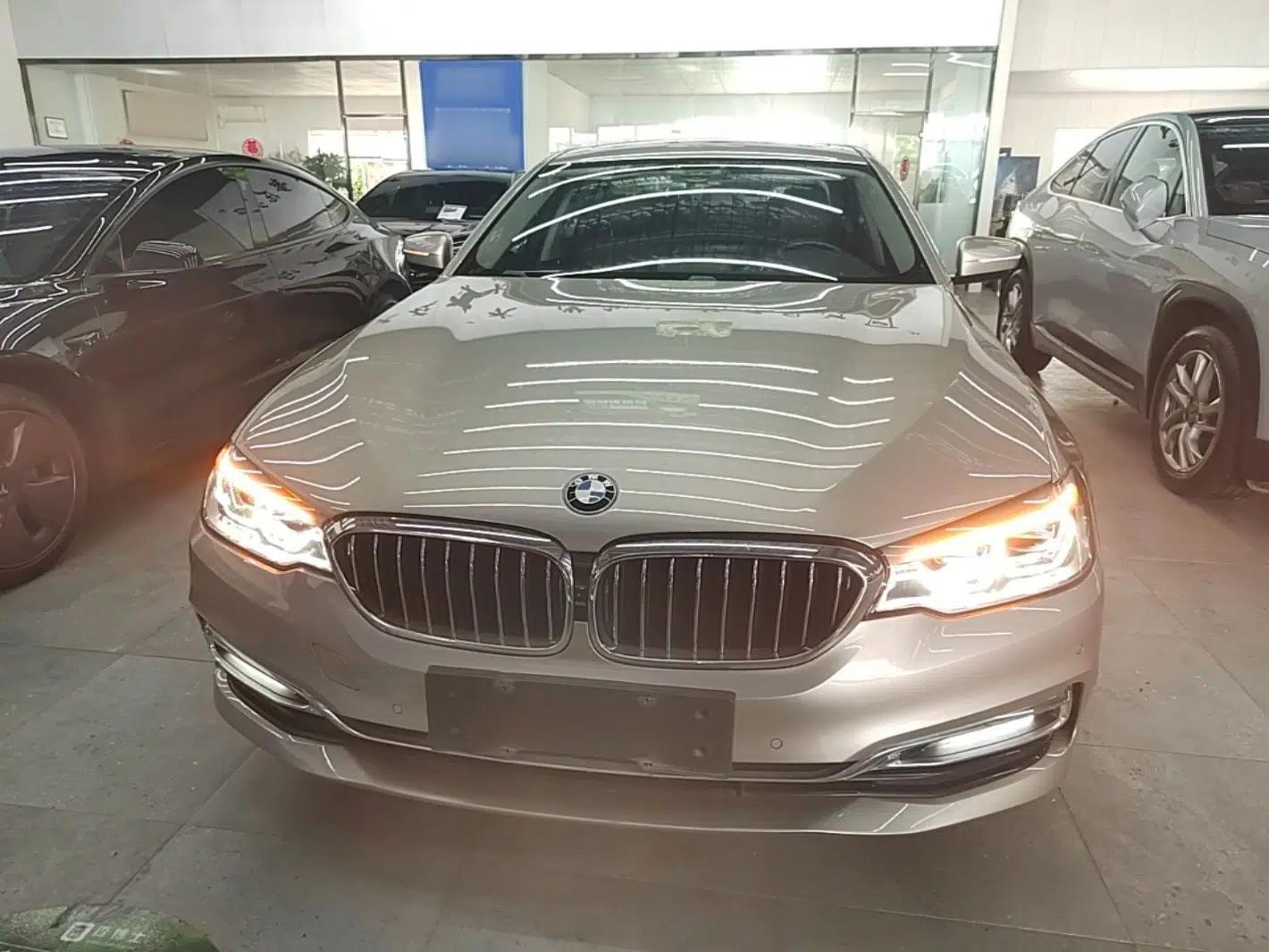 BMW 5 Series New Energy 2019 530Le Luxury Package — миниатюра 2
