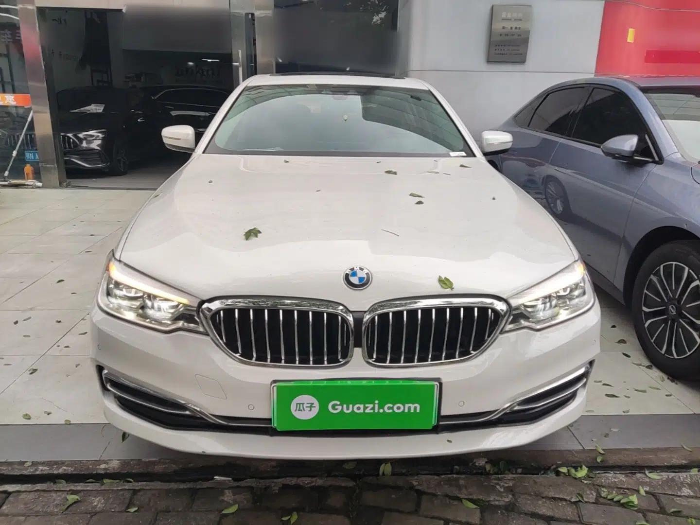 BMW 5 Series New Energy 2020 530Le Luxury Package — миниатюра 2
