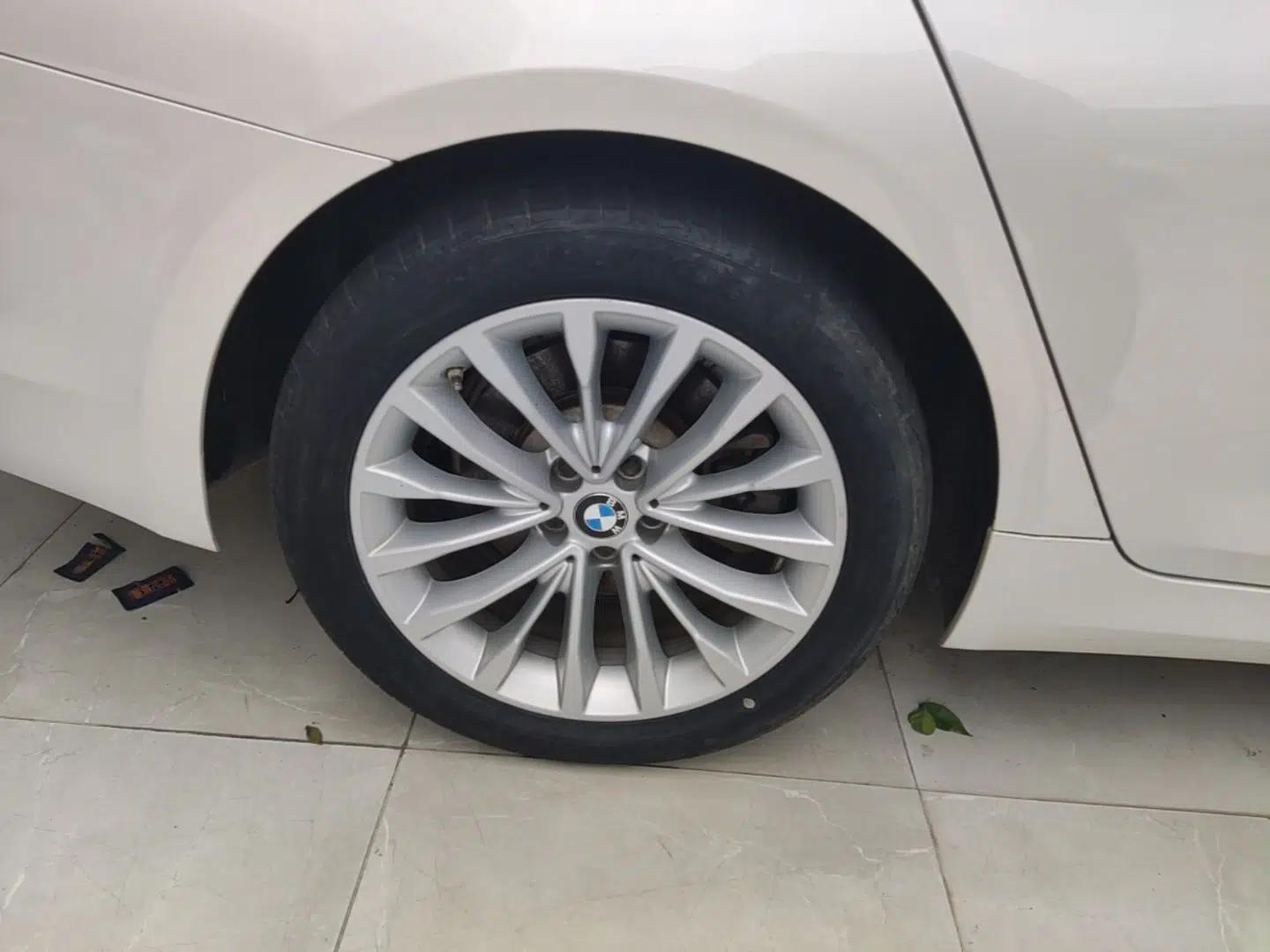 BMW 5 Series New Energy 2020 530Le Luxury Package — миниатюра 11