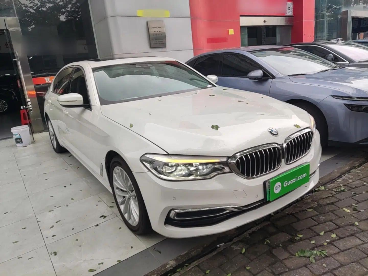 BMW 5 Series New Energy 2020 530Le Luxury Package — миниатюра 3
