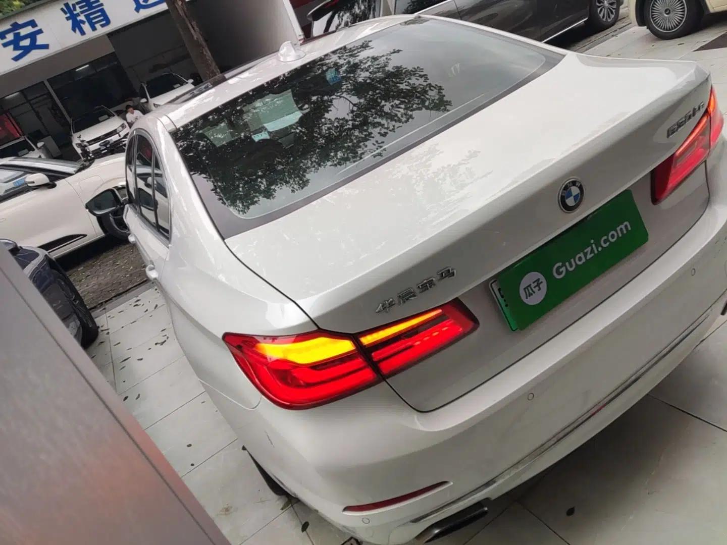 BMW 5 Series New Energy 2020 530Le Luxury Package — миниатюра 4