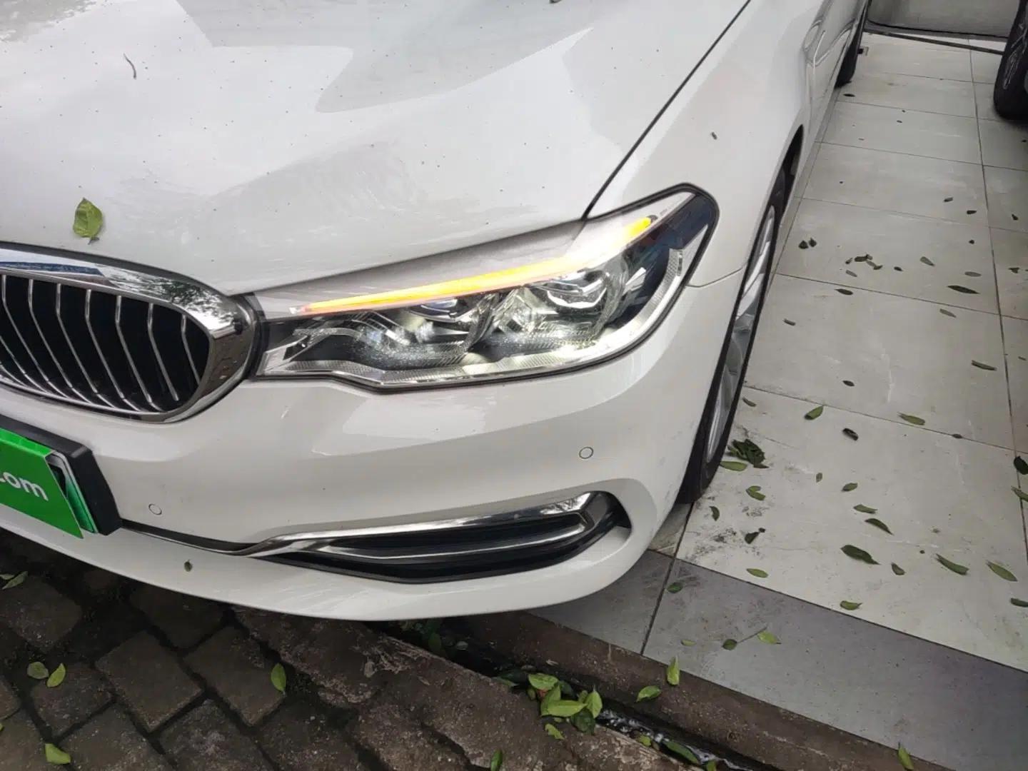 BMW 5 Series New Energy 2020 530Le Luxury Package — миниатюра 8