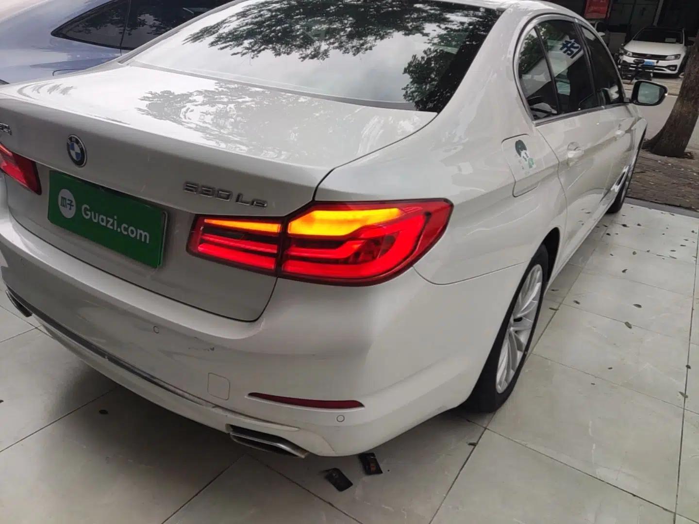 BMW 5 Series New Energy 2020 530Le Luxury Package — миниатюра 9