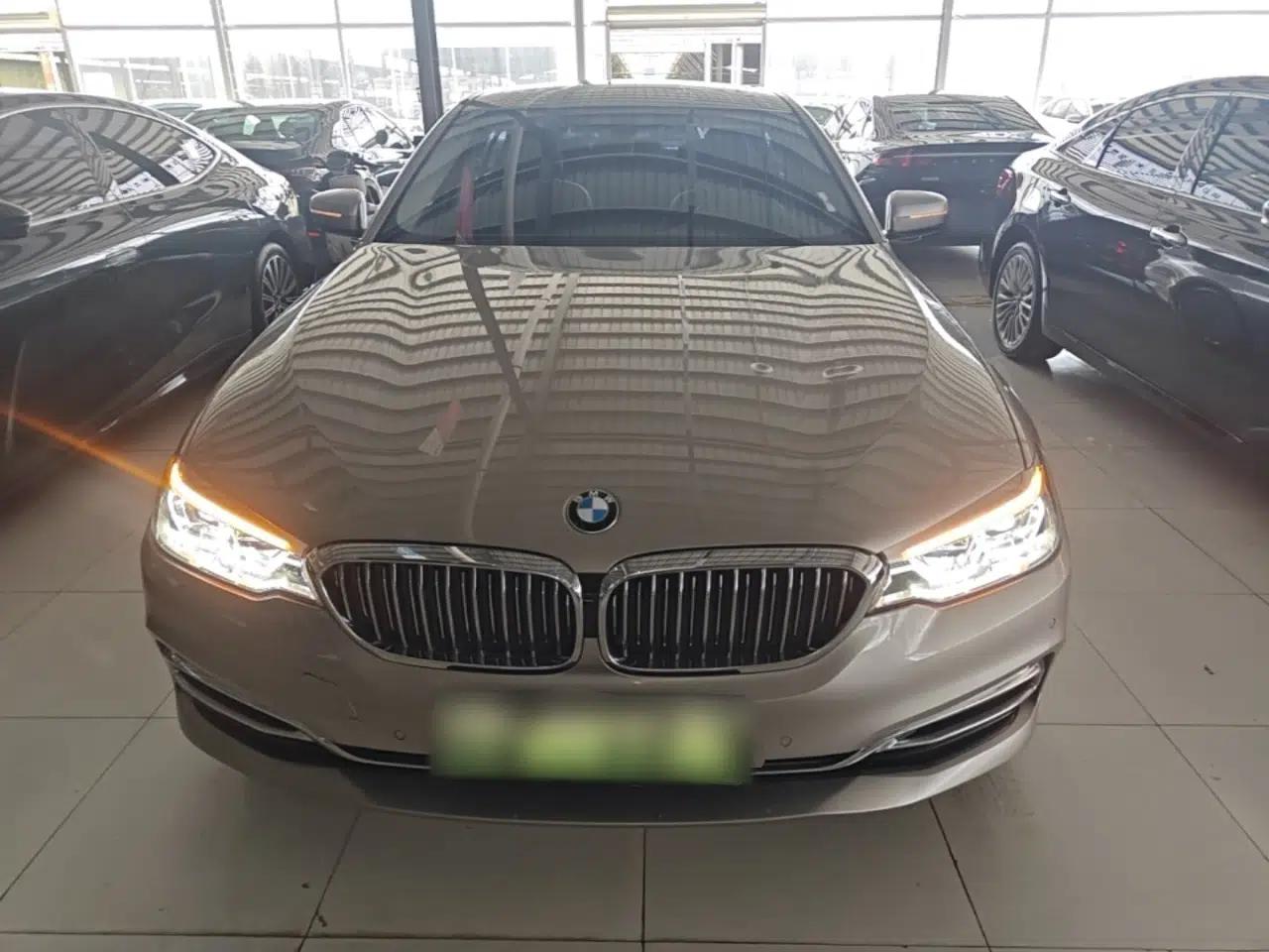 BMW 5 Series New Energy 2020 530Le Luxury Package — миниатюра 2