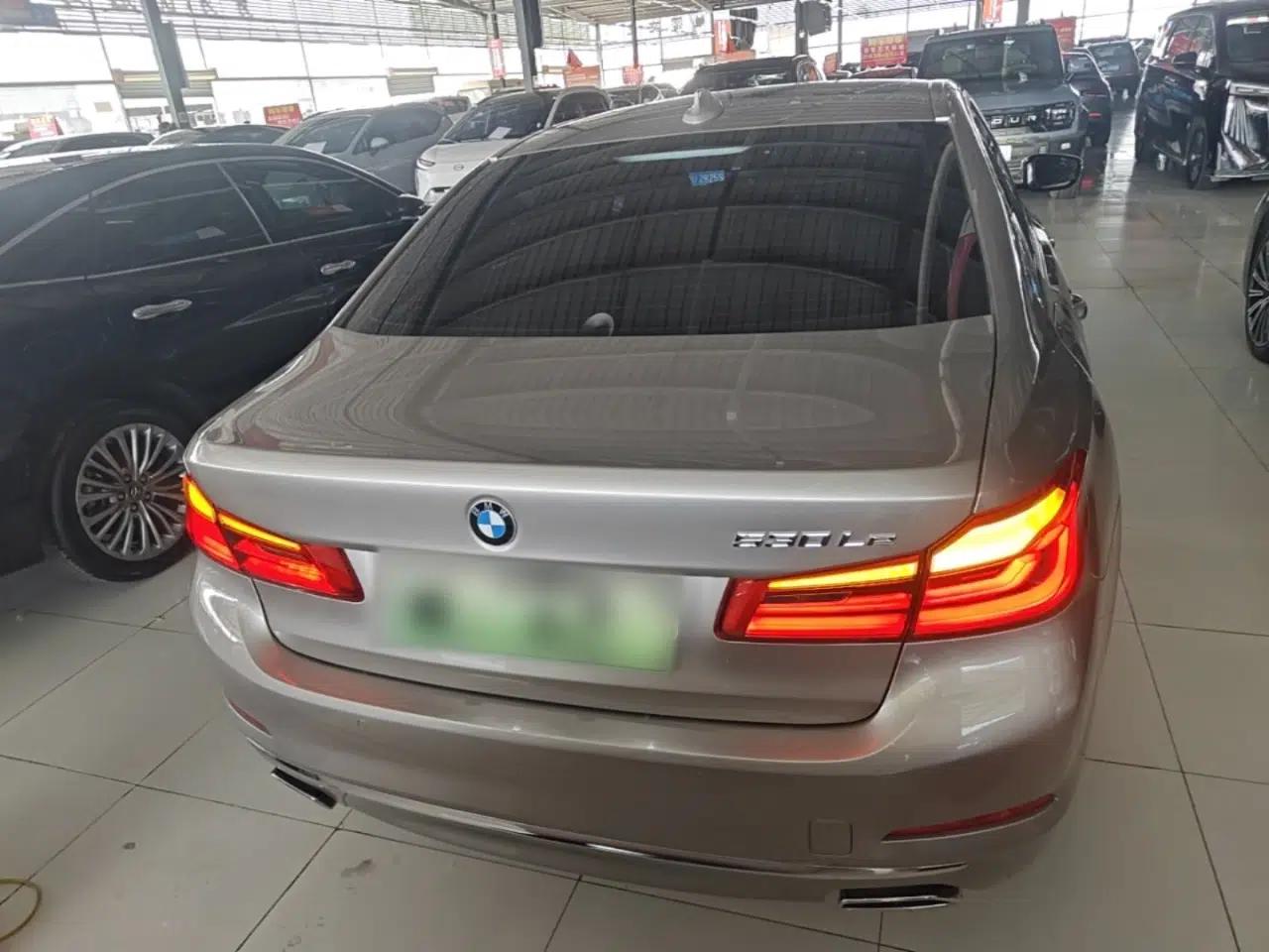 BMW 5 Series New Energy 2020 530Le Luxury Package — миниатюра 5