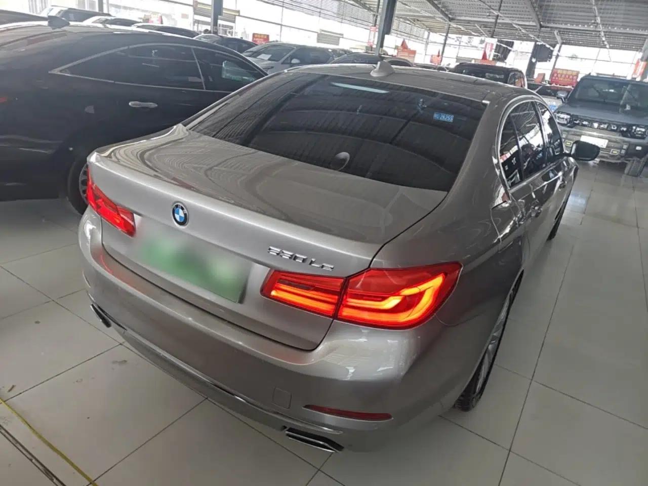 BMW 5 Series New Energy 2020 530Le Luxury Package — миниатюра 6