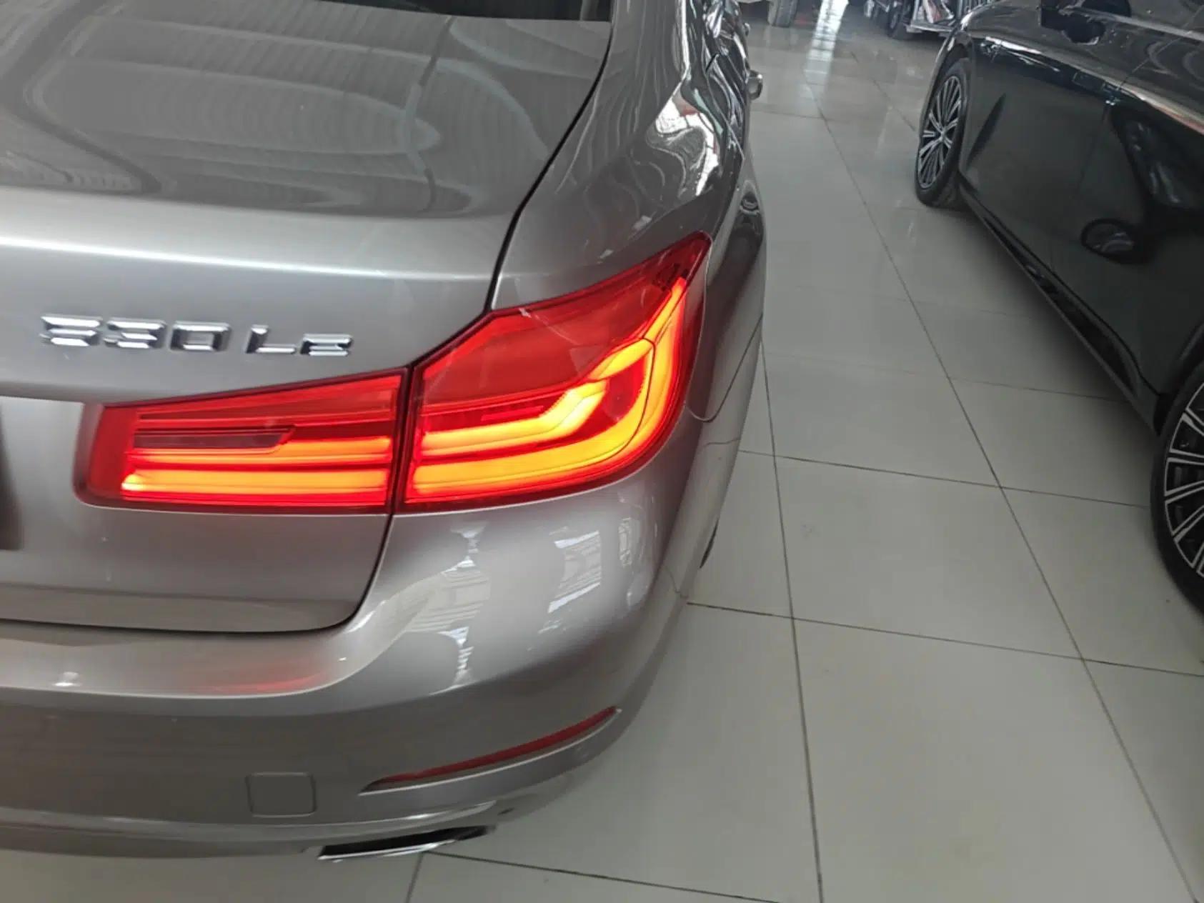 BMW 5 Series New Energy 2020 530Le Luxury Package — миниатюра 9