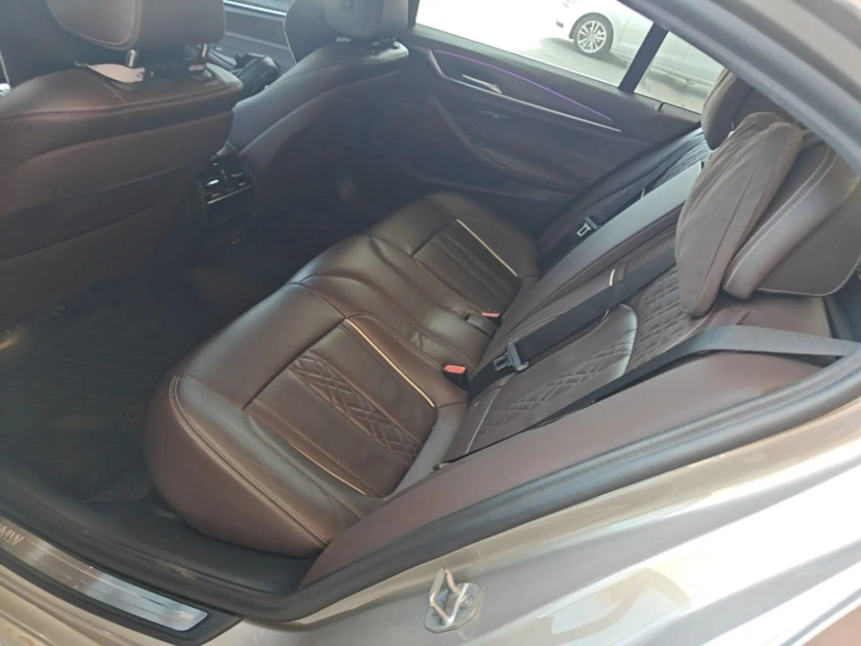 BMW 5 Series New Energy 2020 Mileage Upgrade Version 530Le Luxury Package — миниатюра 20