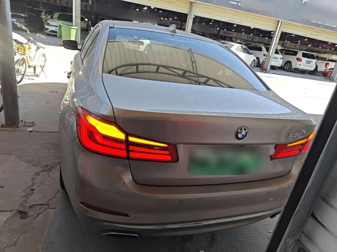 BMW 5 Series New Energy 2020 Mileage Upgrade Version 530Le Luxury Package — миниатюра 5