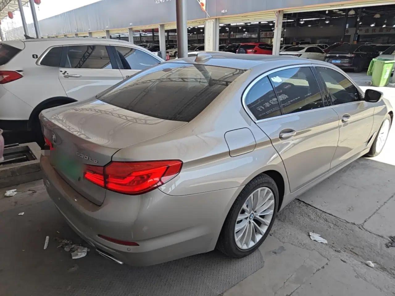 BMW 5 Series New Energy 2020 Mileage Upgrade Version 530Le Luxury Package — миниатюра 6