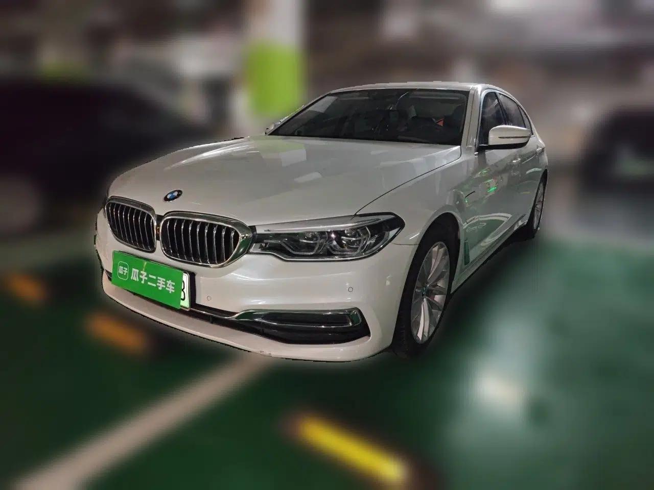 BMW 5 Series New Energy 2020 530Le Luxury Package — миниатюра 1