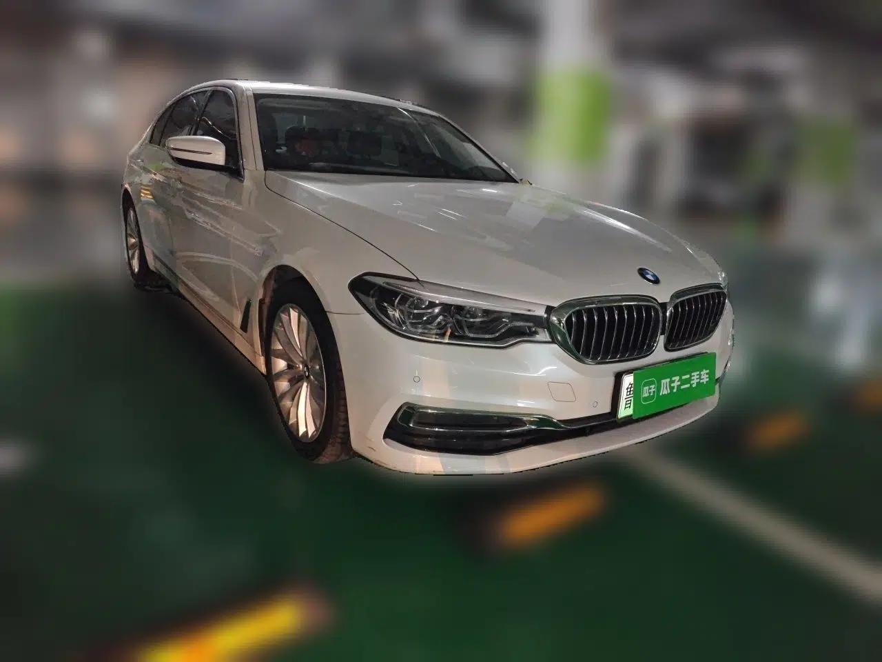BMW 5 Series New Energy 2020 530Le Luxury Package — миниатюра 3