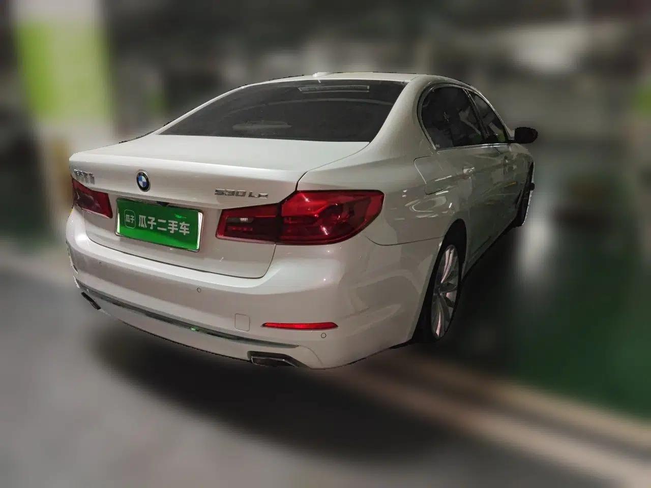 BMW 5 Series New Energy 2020 530Le Luxury Package — миниатюра 6