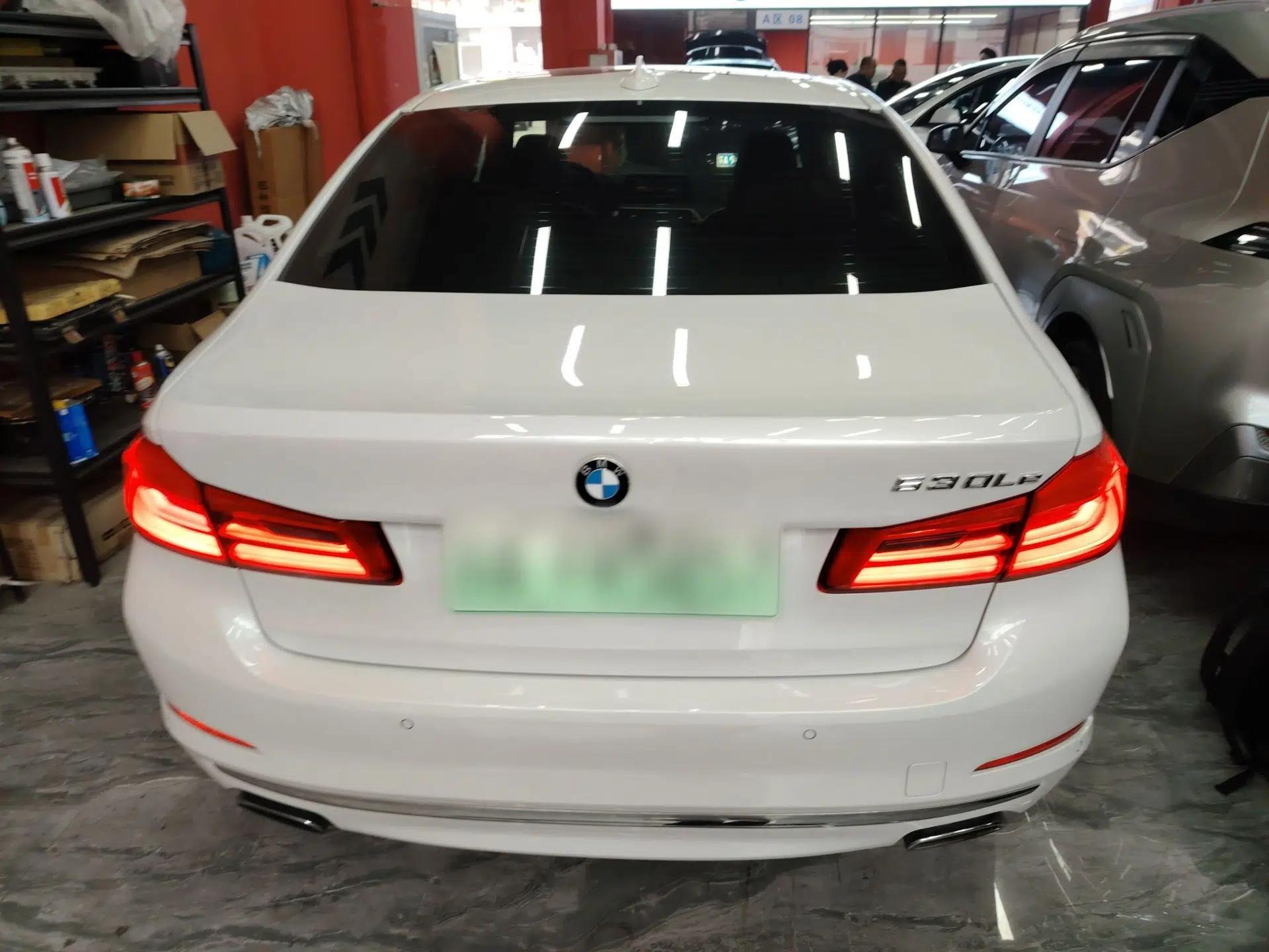BMW 5 Series New Energy 2019 Updated Version 530Le Luxury Package — миниатюра 3