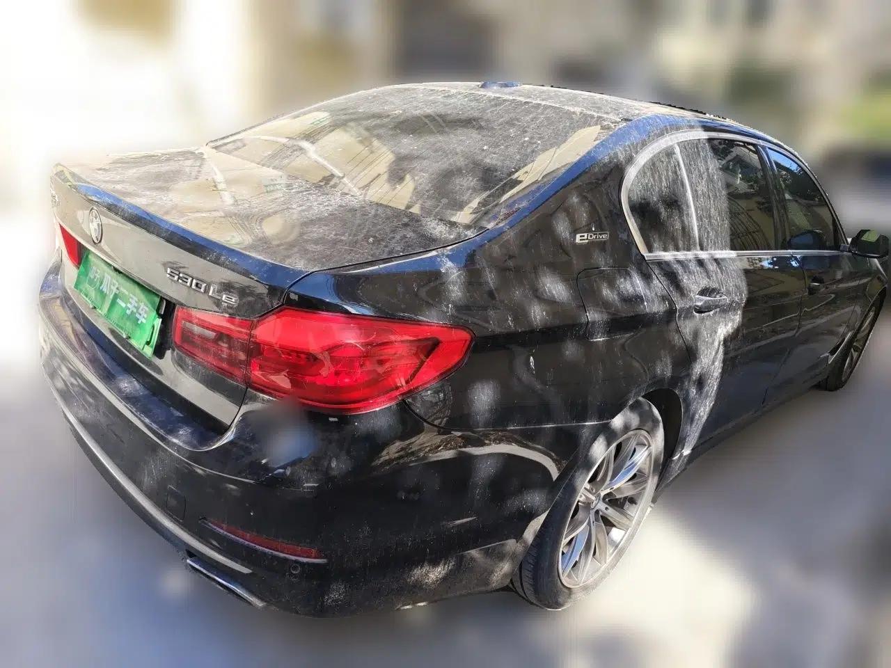BMW 5 Series New Energy 2019 530Le Luxury Package — миниатюра 6