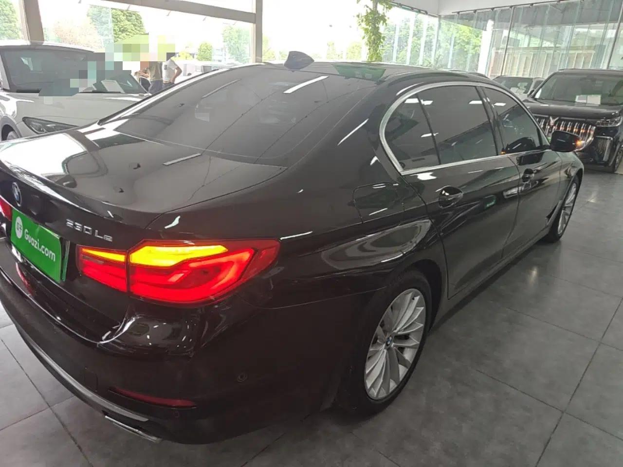 BMW 5 Series New Energy 2020 Mileage Upgrade Version 530Le Pioneer Edition — миниатюра 6