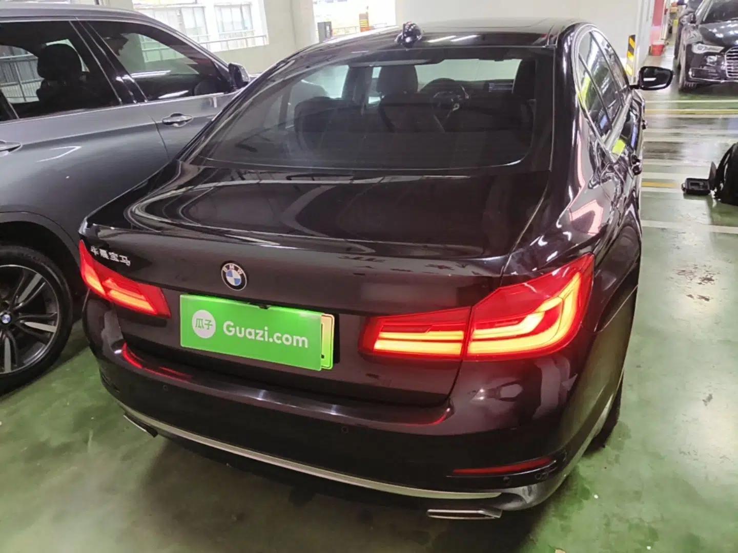 BMW 5 Series New Energy 2020 Mileage Upgrade Version 530Le Luxury Package — миниатюра 3