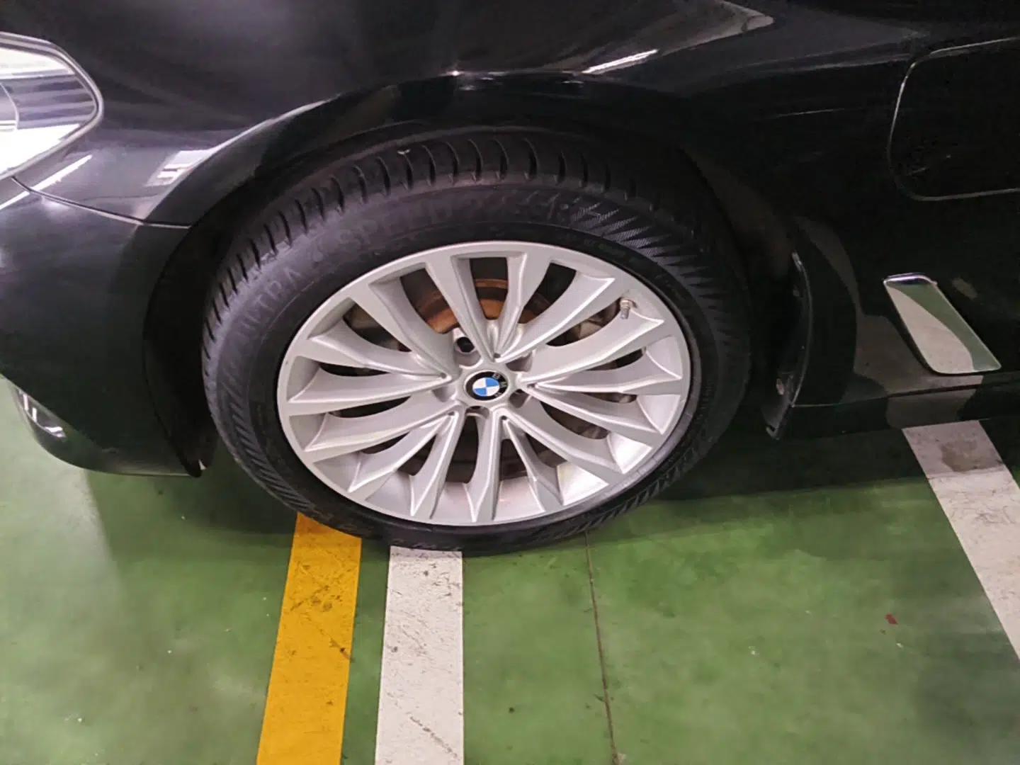 BMW 5 Series New Energy 2020 Mileage Upgrade Version 530Le Luxury Package — миниатюра 10