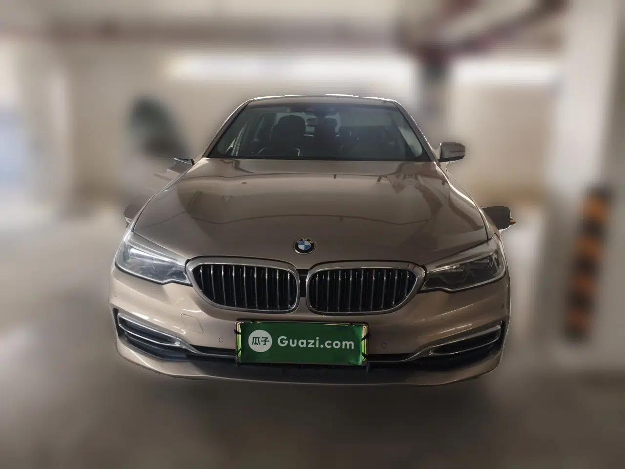 BMW 5 Series New Energy 2019 Updated Version 530Le Luxury Package — миниатюра 2