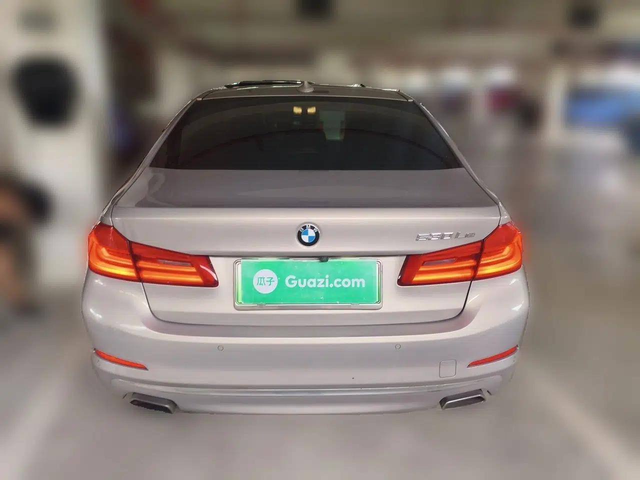 BMW 5 Series New Energy 2019 Updated Version 530Le Luxury Package — миниатюра 5