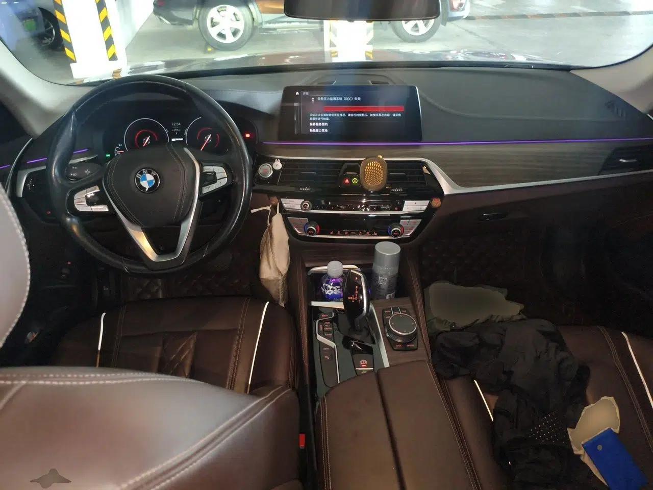 BMW 5 Series New Energy 2019 Updated Version 530Le Luxury Package — миниатюра 9
