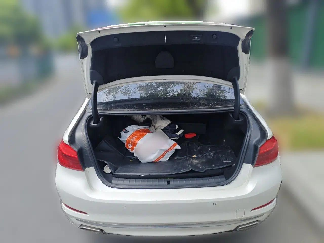 BMW 5 Series New Energy 2020 Mileage Upgrade Version 530Le Luxury Package — миниатюра 19