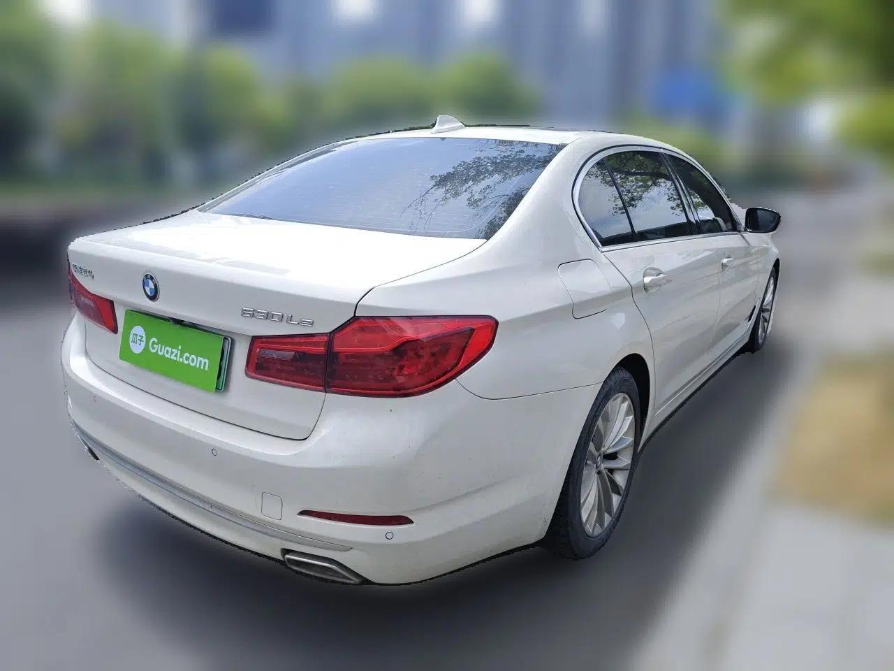 BMW 5 Series New Energy 2020 Mileage Upgrade Version 530Le Luxury Package — миниатюра 6
