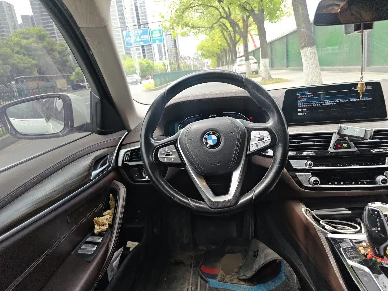 BMW 5 Series New Energy 2020 Mileage Upgrade Version 530Le Luxury Package — миниатюра 10