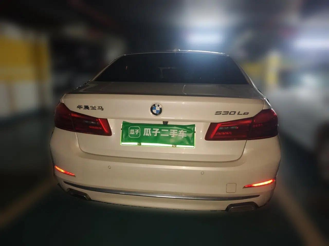 BMW 5 Series New Energy 2019 Updated Version 530Le Luxury Package — миниатюра 5