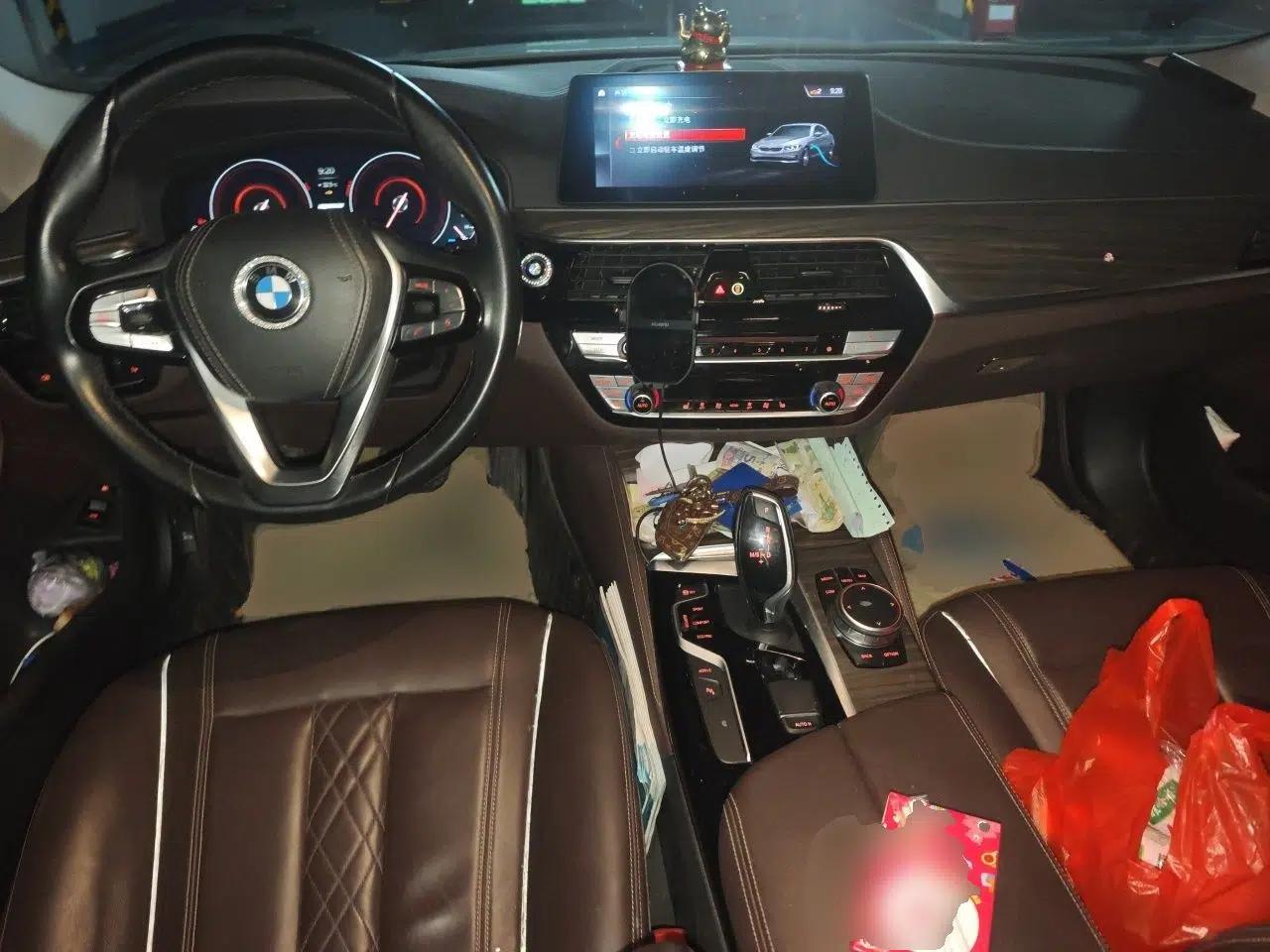 BMW 5 Series New Energy 2019 Updated Version 530Le Luxury Package — миниатюра 9