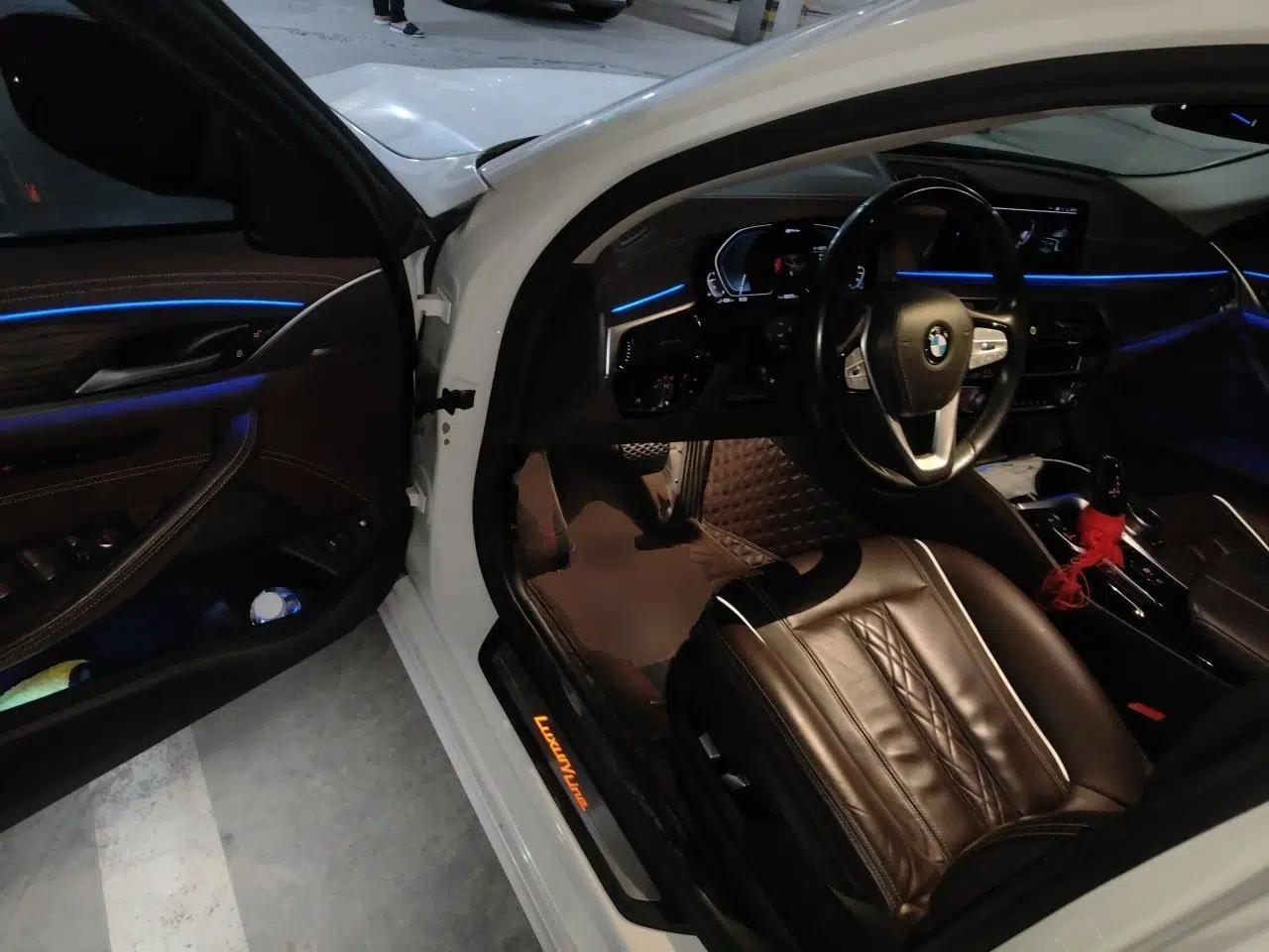 BMW 5 Series New Energy 2020 Mileage Upgrade Version 530Le Luxury Package — миниатюра 16