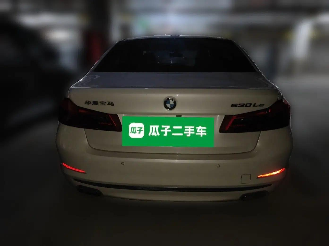 BMW 5 Series New Energy 2020 Mileage Upgrade Version 530Le Luxury Package — миниатюра 5