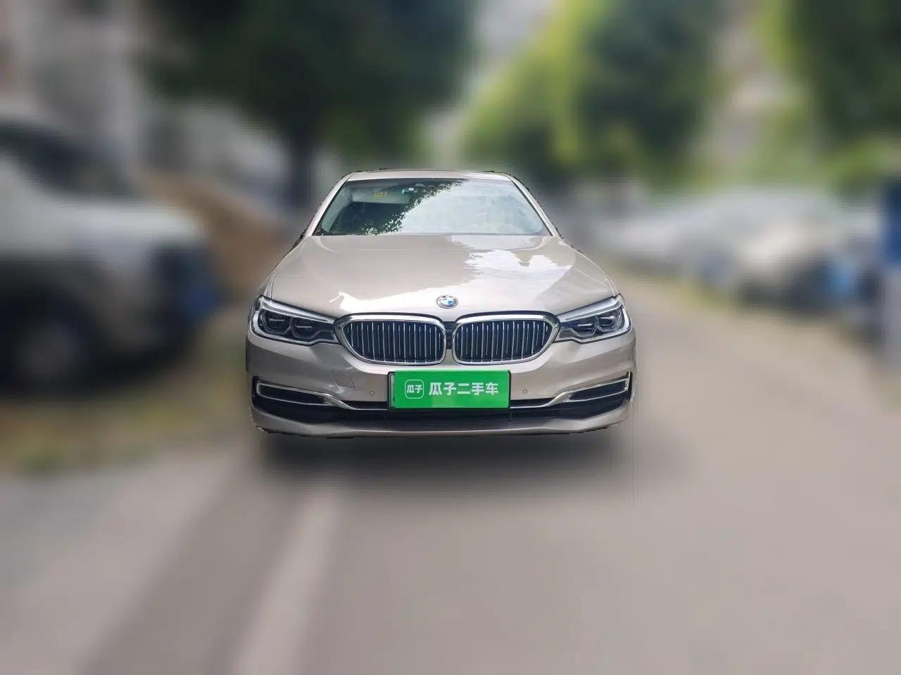 BMW 5 Series New Energy 2020 Mileage Upgrade Version 530Le Luxury Package — миниатюра 2
