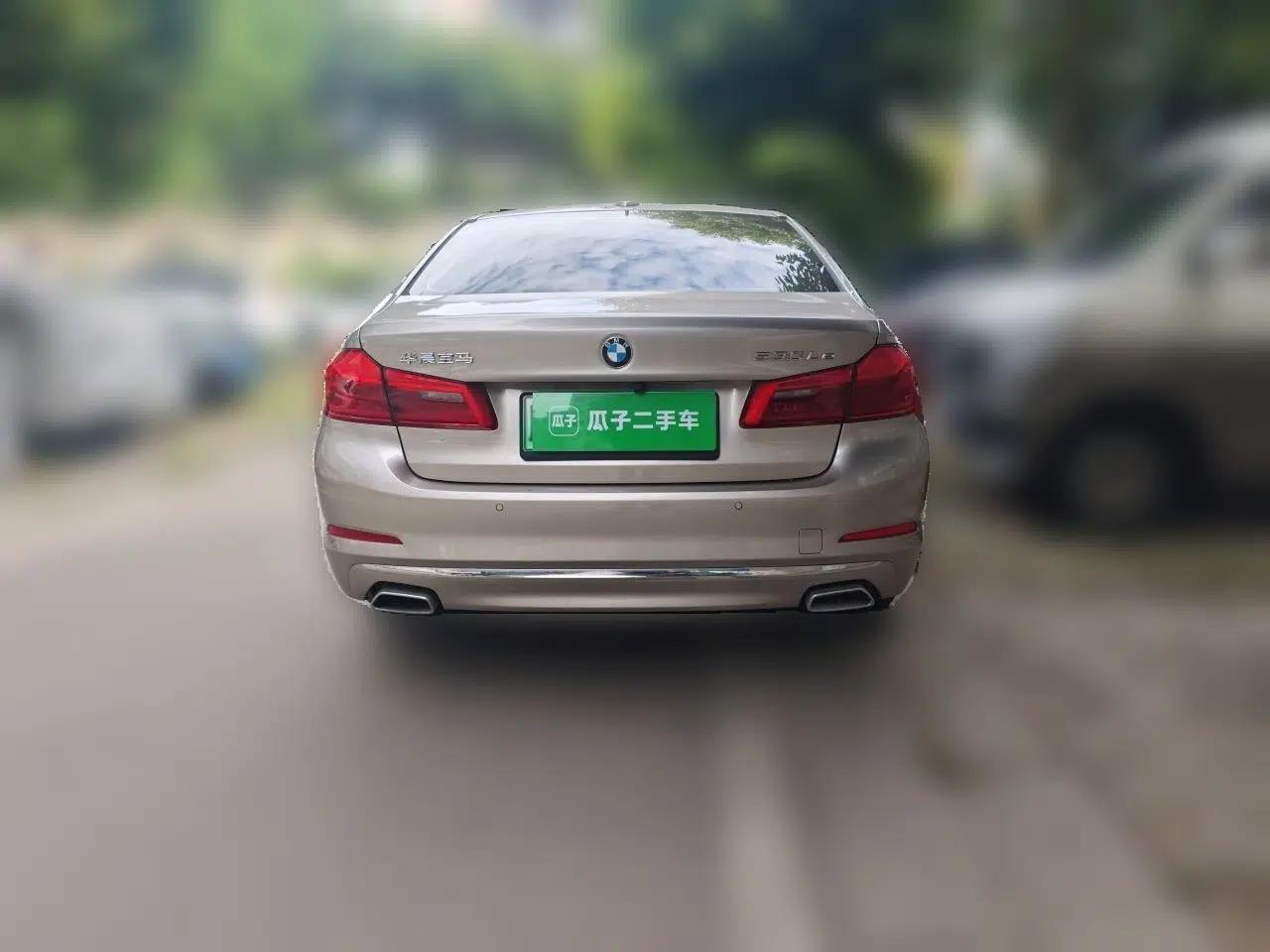 BMW 5 Series New Energy 2020 Mileage Upgrade Version 530Le Luxury Package — миниатюра 5