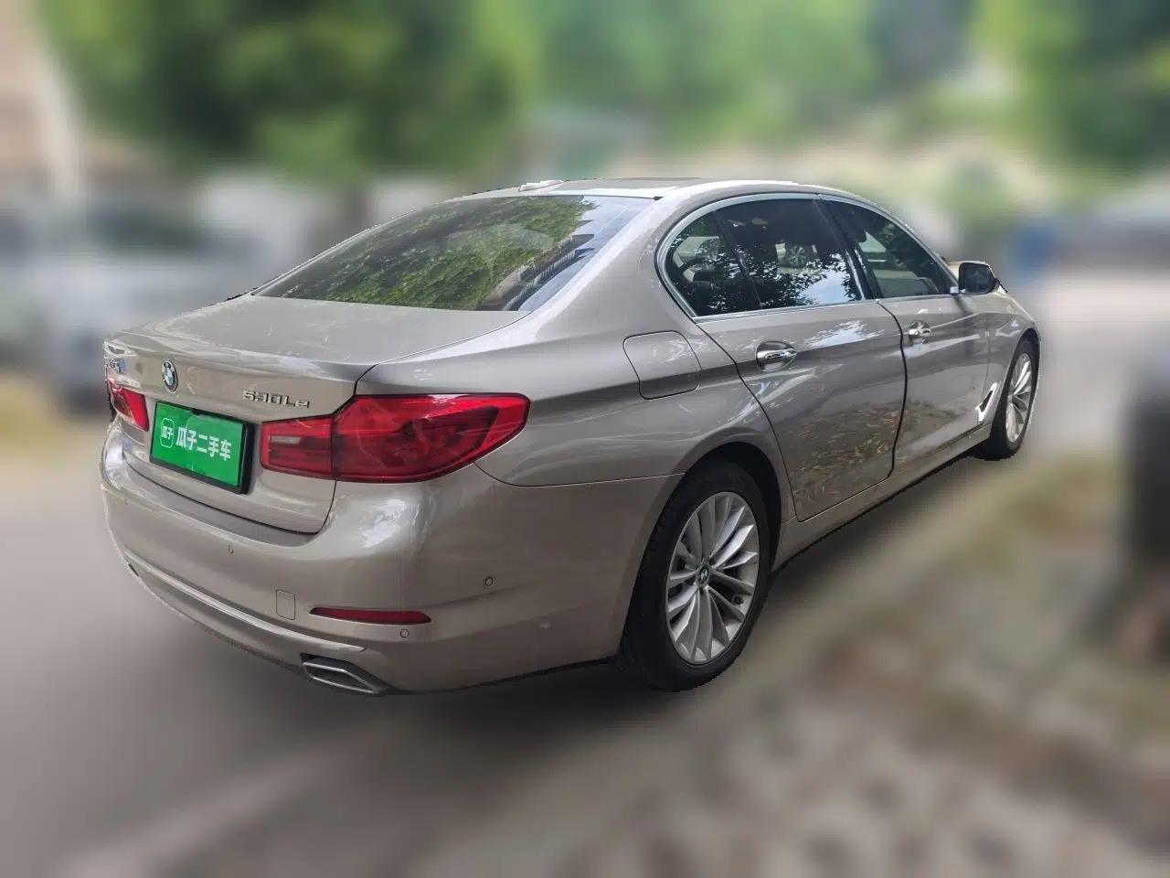 BMW 5 Series New Energy 2020 Mileage Upgrade Version 530Le Luxury Package — миниатюра 6