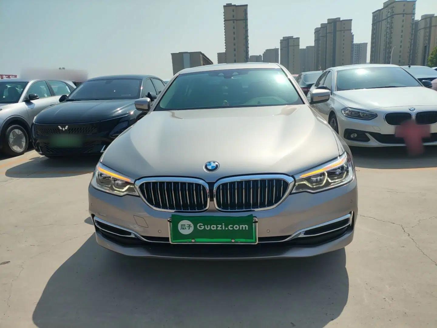 BMW 5 Series New Energy 2019 Updated Version 530Le Luxury Package — миниатюра 2