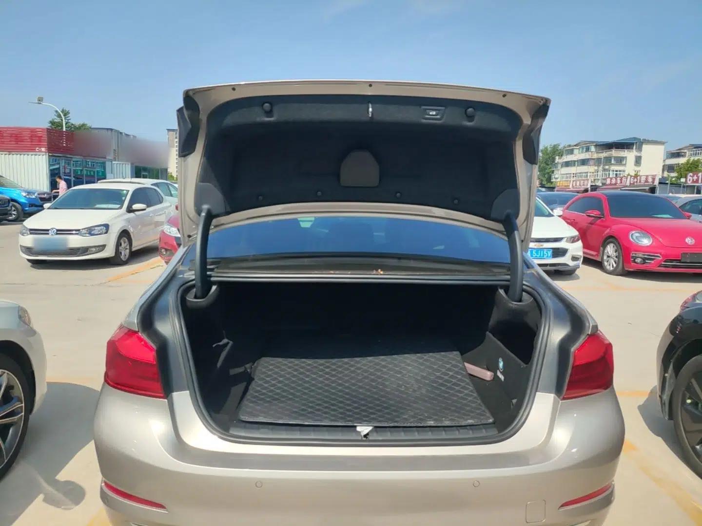 BMW 5 Series New Energy 2019 Updated Version 530Le Luxury Package — миниатюра 22