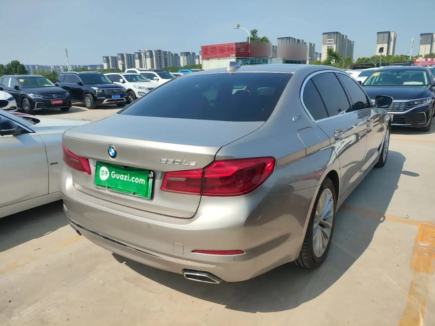 BMW 5 Series New Energy 2019 Updated Version 530Le Luxury Package — миниатюра 6