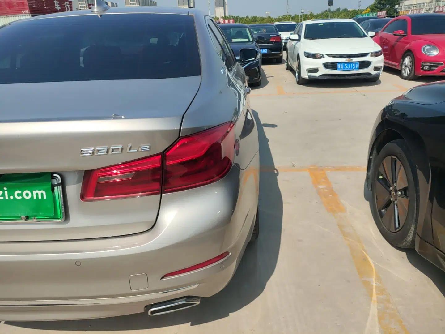 BMW 5 Series New Energy 2019 Updated Version 530Le Luxury Package — миниатюра 9