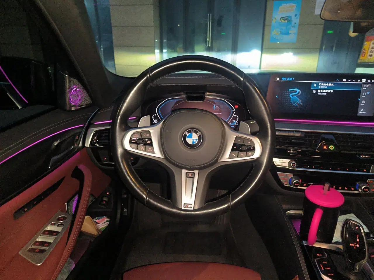 BMW 5 Series New Energy 2021 535Le Pioneer Edition M Sport Package — миниатюра 10