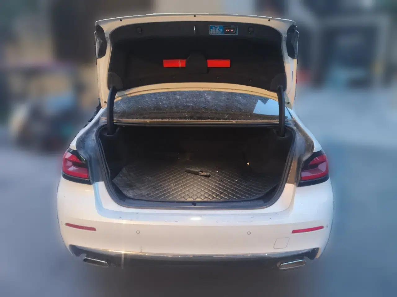 BMW 5 Series New Energy 2021 535Le M Sport Package — миниатюра 19