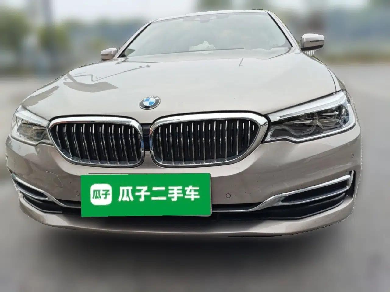 BMW 5 Series New Energy 2020 Mileage Upgrade Version 530Le Luxury Package — миниатюра 2