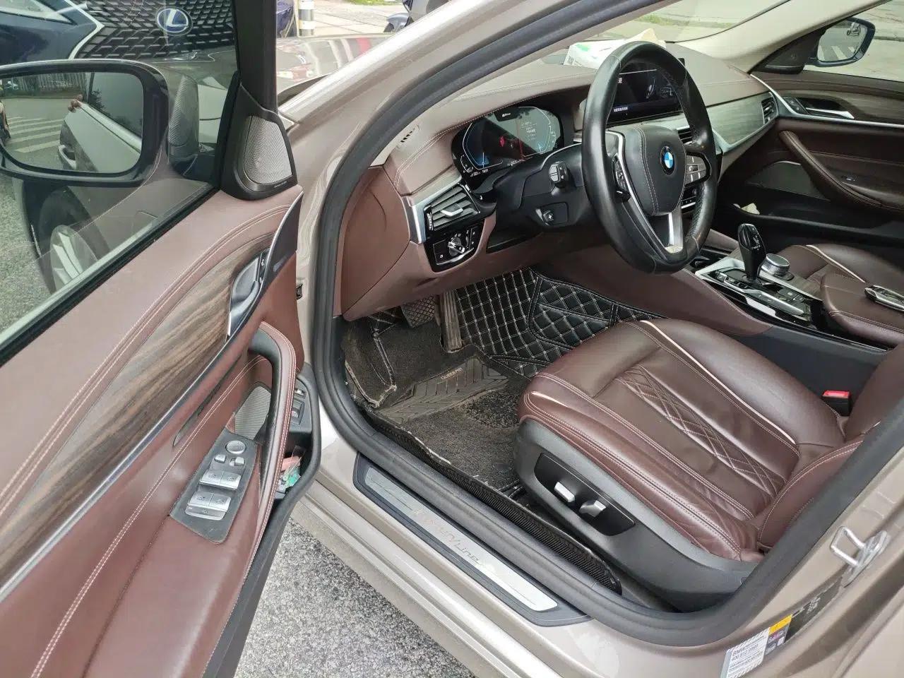 BMW 5 Series New Energy 2020 Mileage Upgrade Version 530Le Luxury Package — миниатюра 16