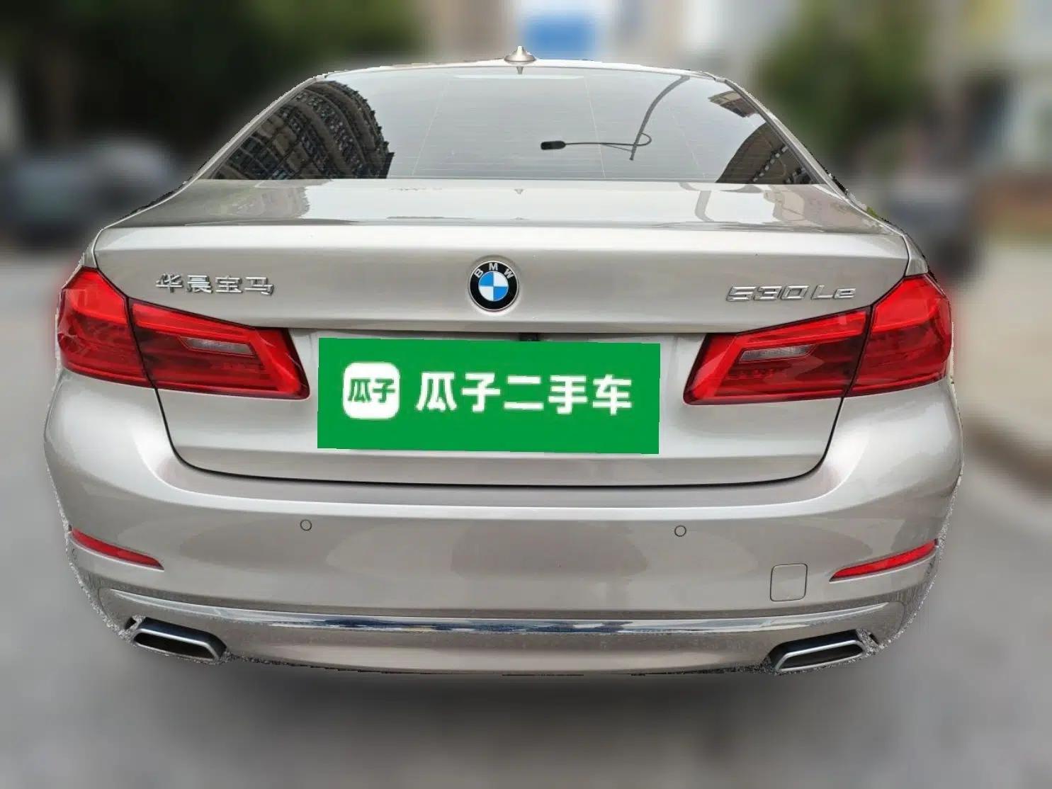 BMW 5 Series New Energy 2020 Mileage Upgrade Version 530Le Luxury Package — миниатюра 5